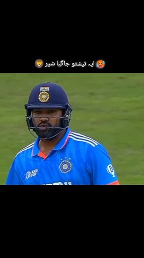 277K views · 22K reactions | Shaheen sha afredi...