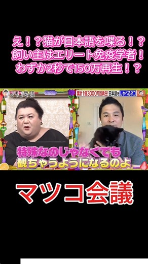 【衝撃】引き取った猫が突然日本語を喋り出した結果…！？🐱🗣️ #マツコ会議 #マツコデラックス #しおちゃん #喋る猫 #しゃべる猫 #猫動画 #バズり動画 #癒し猫