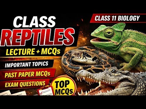Class Reptiles Made Easy | Important MCQs & Short Questions | Class 11 Biology