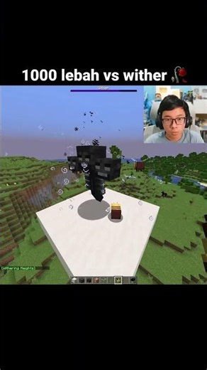 Momen Lebah VS Wither Minecraft
