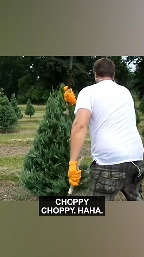 1.7M views · 13K reactions | Trees deserve capitalism, as well.  | Ozzy Man Reviews | Facebook