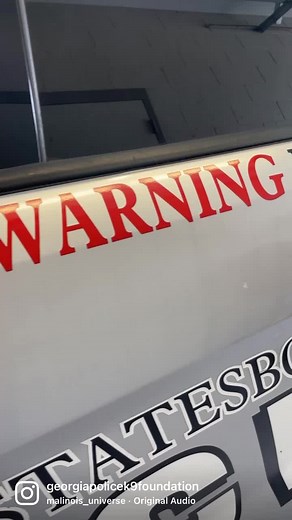 12K views · 1.5K reactions | Meet K9 Harley. She is a 15 month old German Shepherd trained in narcotic detection and tracking. She is excited to get to work. Harley was born in Alabama and trained by a private trainer at Fox Elite K9 Services in North Carolina. You’ll see more of her in the future. | Georgia Police K9 Foundation | Facebook