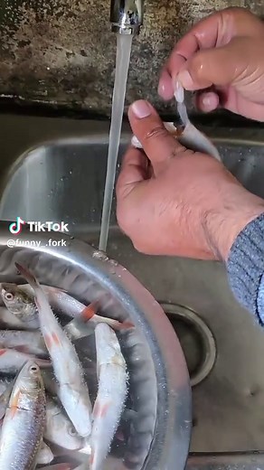 Easy Fish Curry Recipe for Food Lovers