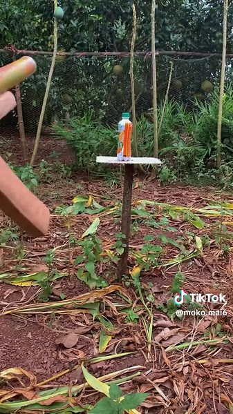 Bamboo Craft Techniques for Stunning Home Decor