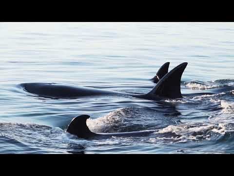 Building Project Master: Powering a New Era of Exploration