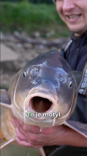 Šílená akce!😱 Nový film sledujte zdarma na YouTube TV Fish v plné délce✅