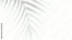 Palm tree shadow overlay animation, video effect, white background, motion graphics Stock Video