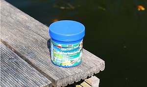 Start your pond filter biologically with live cleansing bacteria