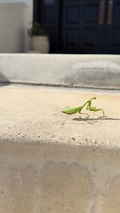 11K views · 854 reactions | GODS SIGNS SENT TO REMIND  @kfeucht and I have seen this nearly everyday RIGHT HERE since I turned in the manuscript 勞勞勞 Pre-order for the new book (on Spiritual Warfare) is out now on Amazon: https://a.co/d/1Gtnlz5 | Sean Feucht | Facebook