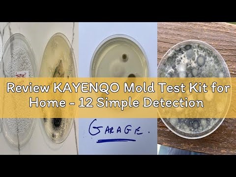 Review KAYENQO Mold Test Kit for Home - 12 Simple Detection Tests,Test HVAC System,Home Surfaces,& I
