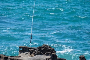 Inshore Fishing Setup - Topsail Angler