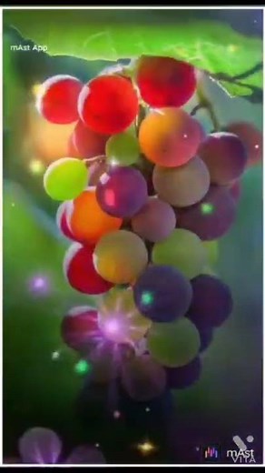 Grapes fruit 🍇🍇🍇