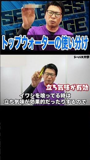 トップウォーターの使い分け！ペンシル？ポッパー？シーバス釣りではどう使い分ける？