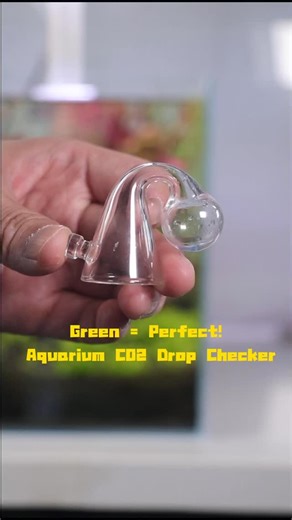 Clscea | Green = Perfect! Aquarium CO2 Drop Checker #Aquascaping#aquascape#aquarium#fishtank#fishkeepingCo2plantedaquariumplantedtankfyp | Instagram