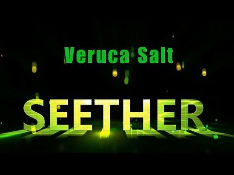 SEETHER - Veruca Salt ( lyrics )