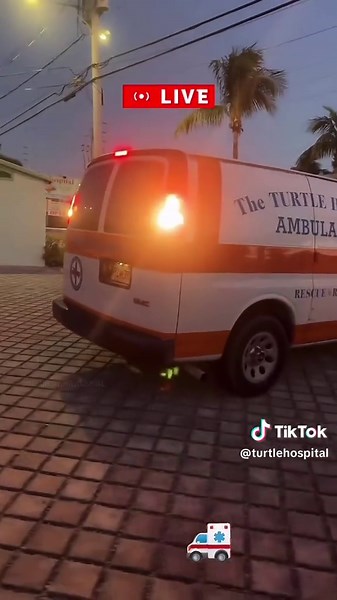 Loggerhead Sea Turtle Rescue at Florida Keys Hospital