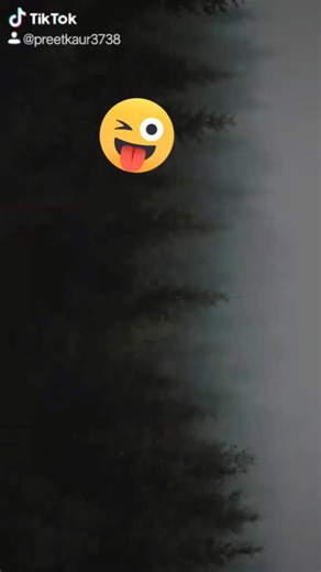 Preet Kaur (@preetkaur3738)’s videos with original sound - Preet Kaur