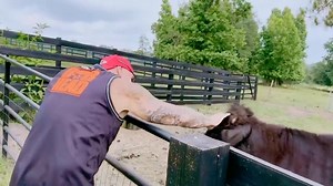 In this episode of Paul Sr. Unchained I take you around my farm of rescue animals and show what it takes to feed them every morning. | Paul Teutul Sr