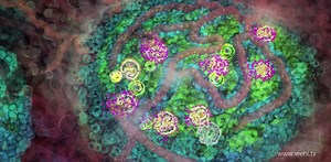 Animating life: bringing science to the YouTube generation