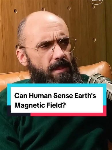 Can Human Sense Earth's Magnetic Field?? 🤯😳 #science #curiosity #sciencefacts #magnetism #tris