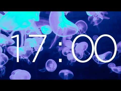 17 Minute Timer with Ambient Music and Jellyfish | Violet Drift