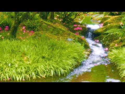 Spring in a Japanese Garden - #6 | Relaxing Stream & Bird Sounds | Peaceful Nature Soundscape 4K