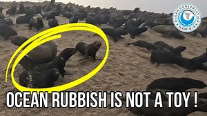 11K views · 764 reactions | This bright white plastic packaging strap...