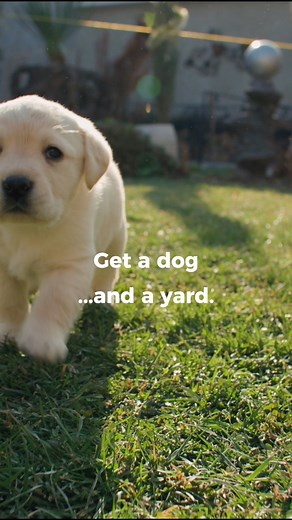 Moving to Pittsburgh means that life becomes full of endless possibilities. We’re excited to announce the launch Pittsburgh Tomorrow Pioneer, a free and trusted resource to help you discover them all. #Pittsburgh #pittsburghtomorrow #pittsburghpa #pittsburghrealestate #Newcomers #PittsburghPride #community #letsgrowpittsburgh | Pittsburgh Tomorrow | Facebook