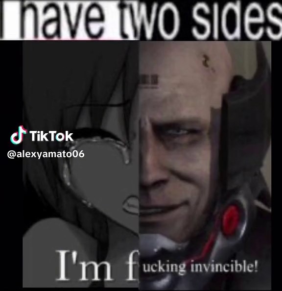 Metal Gear Rising: Invincible Meme Compilation