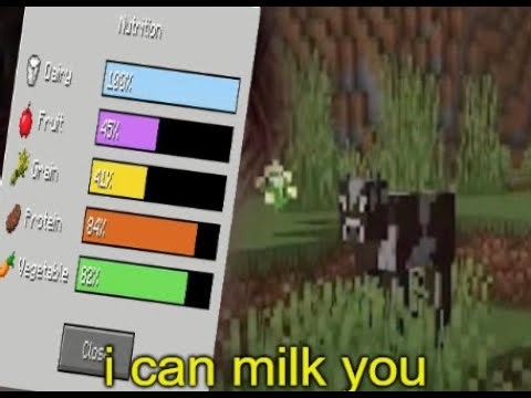 minecraft diet mod experience