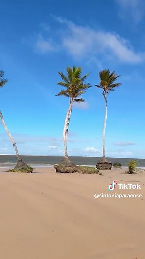 Explorando a Praia do Caju-Una na Ilha do Marajó