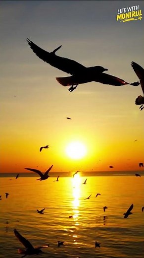 The BEST 4K Nature Videos of Mountains and Rivers You Must See