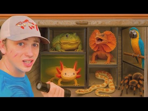 Menemukan Hewan Mematikan di Unit Penyimpanan Terbengkalai, Gak Nyangka!