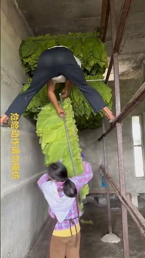 What Is Flue Curing Process Of Tobacco 🤷-4595C1