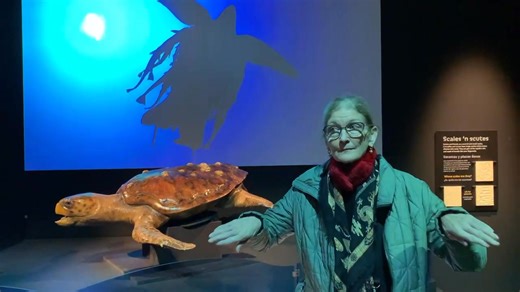 At the Field Museum reptile show | David Lauterstein