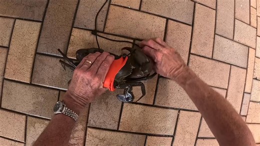 3.1K views · 14 reactions | Crab Cuffs So after many decades of tying crabs the old fashioned way with twine, a mate told me how, quick, clean and re-usable this Aussie made Krab King is. So being a fan of Aussie made products and handy new fishing accessories I tried mine which arrived in the mail today just in time for me to tie a muddie I potted while fishing this morning. Give them a go.   Cheers Skip | Ontour Fishing Australia | Facebook