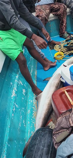 #saltlife #fyp #fishinglife #fishingtrips #dditrips CAPTAIN YOUNGWIRE 292-7295