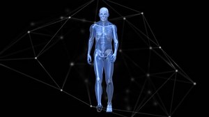 clip-1089204219-animation-network-connections-data-processing-over-human