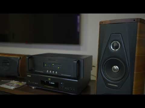 Audio Research DAC8