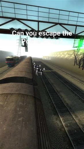 Polish Cow On Board In Trains! #garrysmod #gmod #polishcow #meme #nextbot #nextbots #nextbotchasing | GModVideos