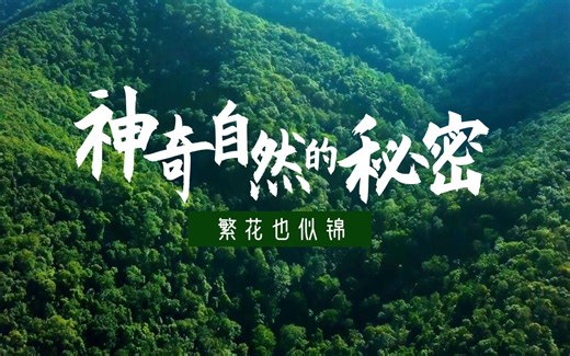 锦化绿植，带你了解一种新的植物观赏趋势！