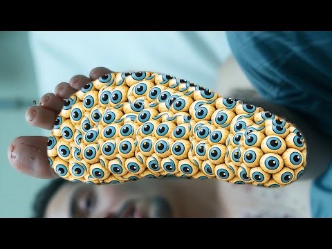 Animation treatment ASMR with Turtle Popping Fruit Pearls: A Satisfying Adventure 😊