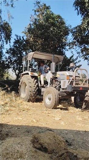 Eicher 557 Pulling Full Tree 😱 #eicher557 #farmer #tractor #ytshorts #shorts #trendingshorts #viral