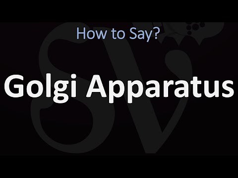 How to Pronounce Golgi Apparatus? (CORRECTLY)