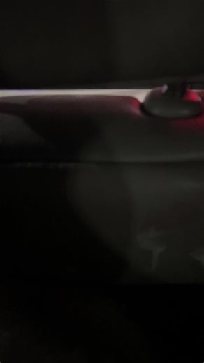 ꃳꄲꃳꏂ꓄꓄ꏂ (@starlightfoxy122)’s videos with original sound - ꃳꄲꃳꏂ꓄꓄ꏂ