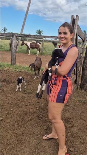dairy farming cow milking #farming #diary #milk #agro #ytshorts #reels #uzbekistan #milking #cow
