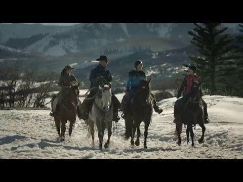 OUT HERE - CINCH Commercial