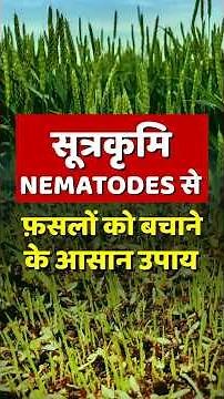 BEST Nematode Control Method You Need to Know