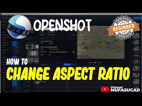 Openshot How To Change Aspect Ratio