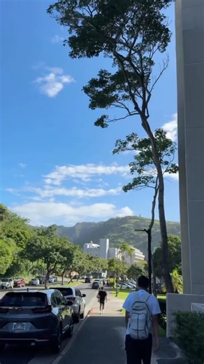 UH Mānoa Admissions on Instagram: "It’s spring semester and classes are officially back in session! 📚👟🎧 Tag along as @cherisseavana takes you through her typical day as a student on the UH Mānoa campus! #uhmanoa #uhm #collegelife #gobows"